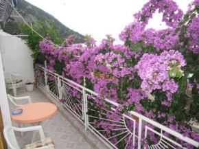 Apartment Graci